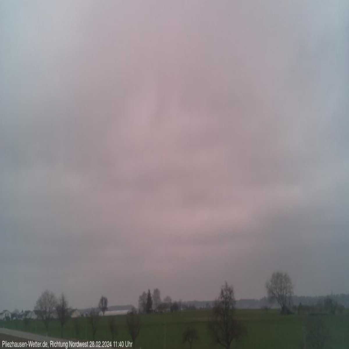 Schallstadt webcam