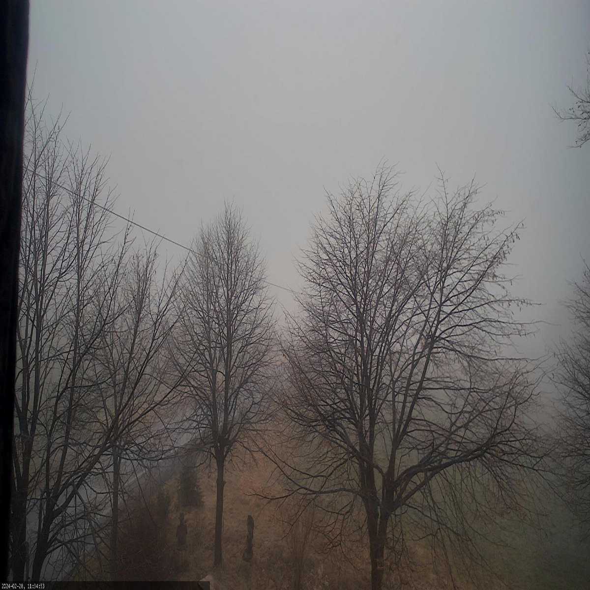 Klingenberg webcam