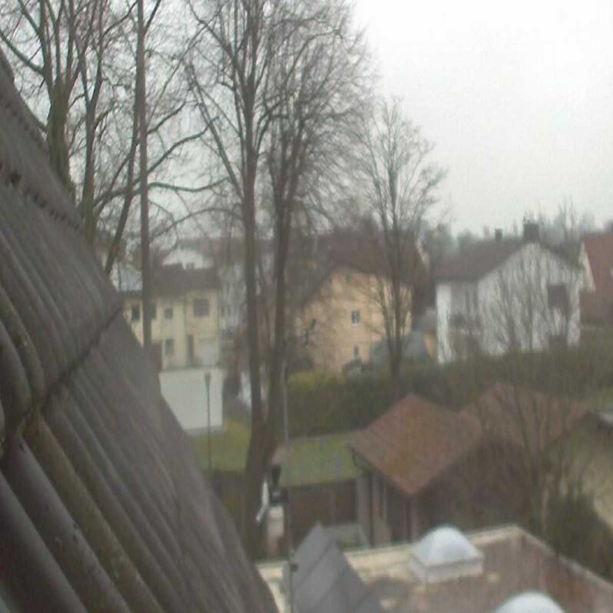 Zachenberg webcam