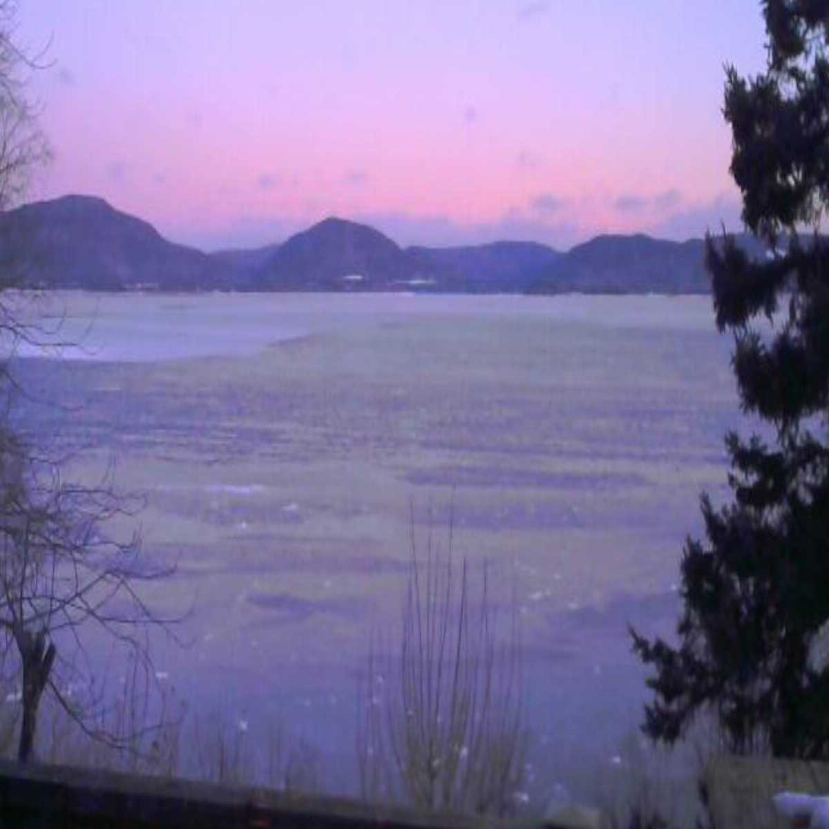 Napan webcam