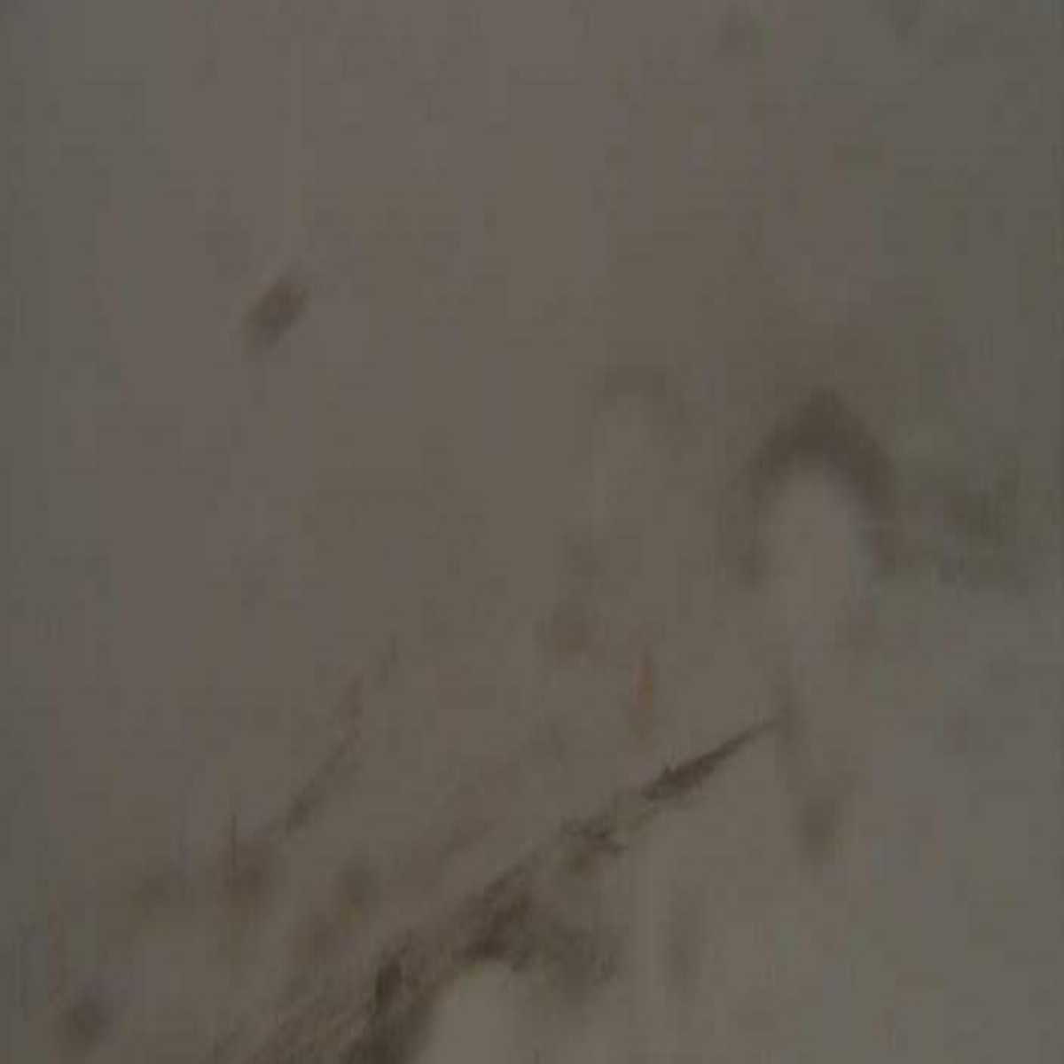 Branavieja webcam
