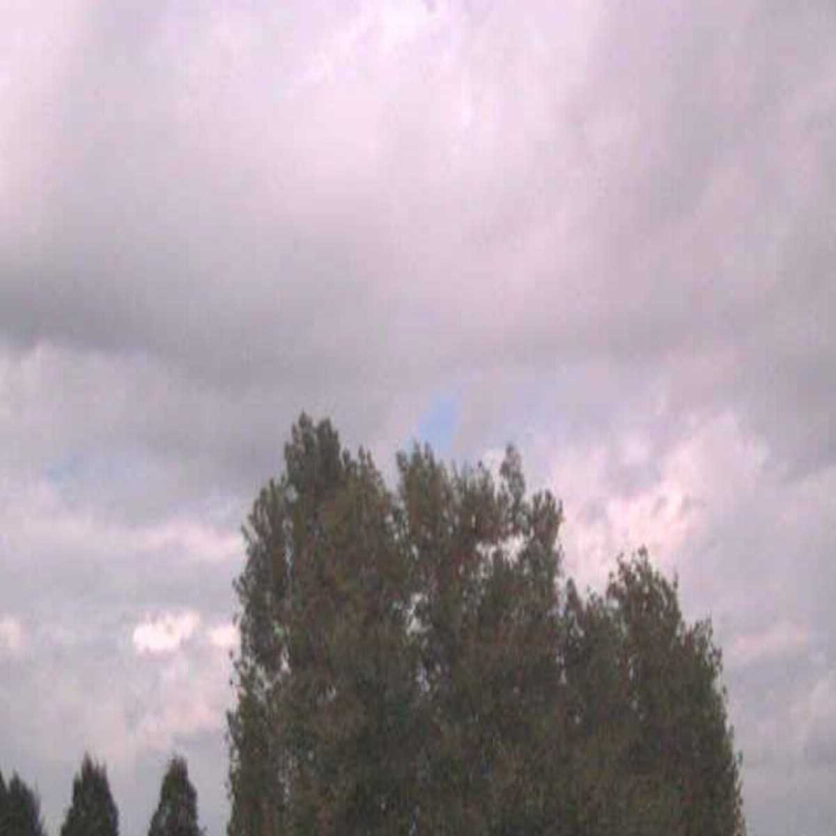 Cittadella webcam