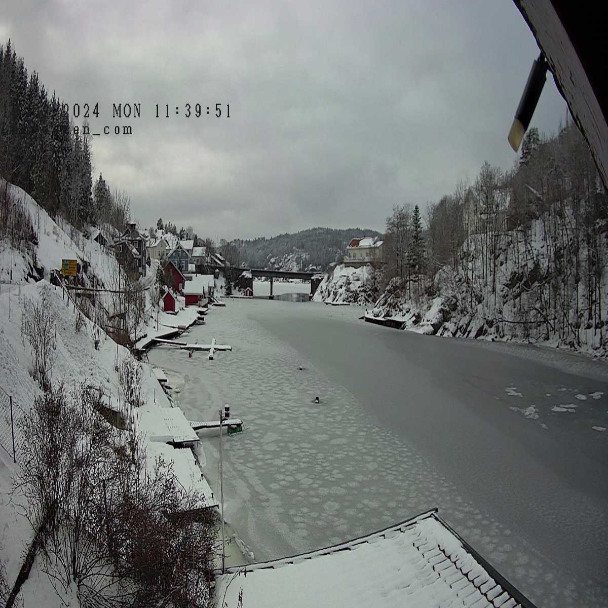 Bamble webcam