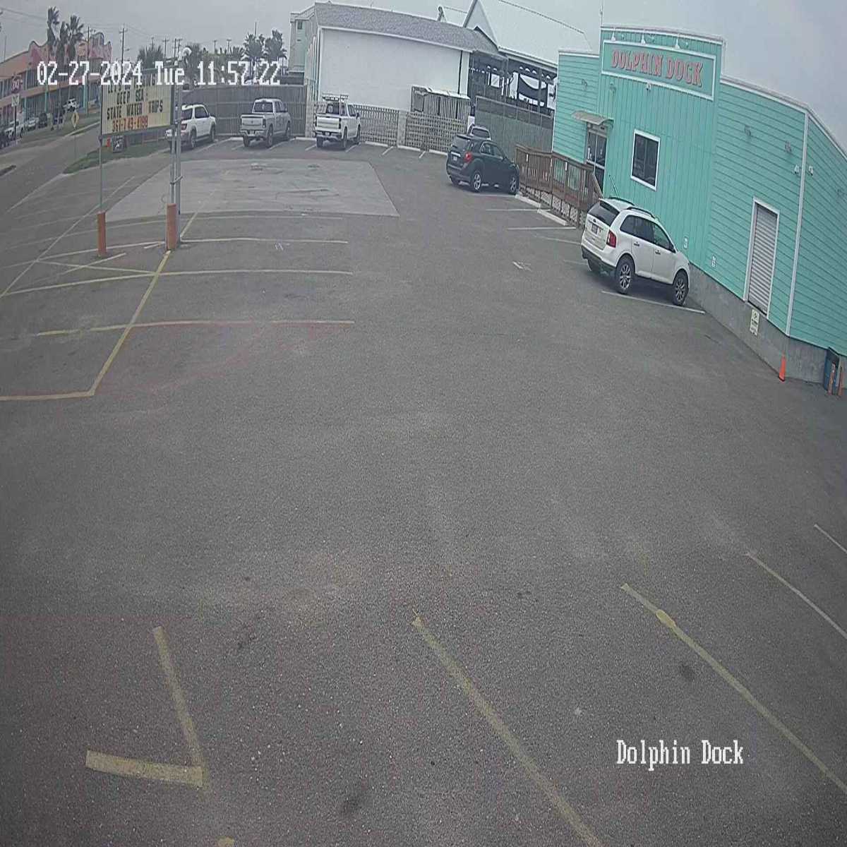 Willis webcam