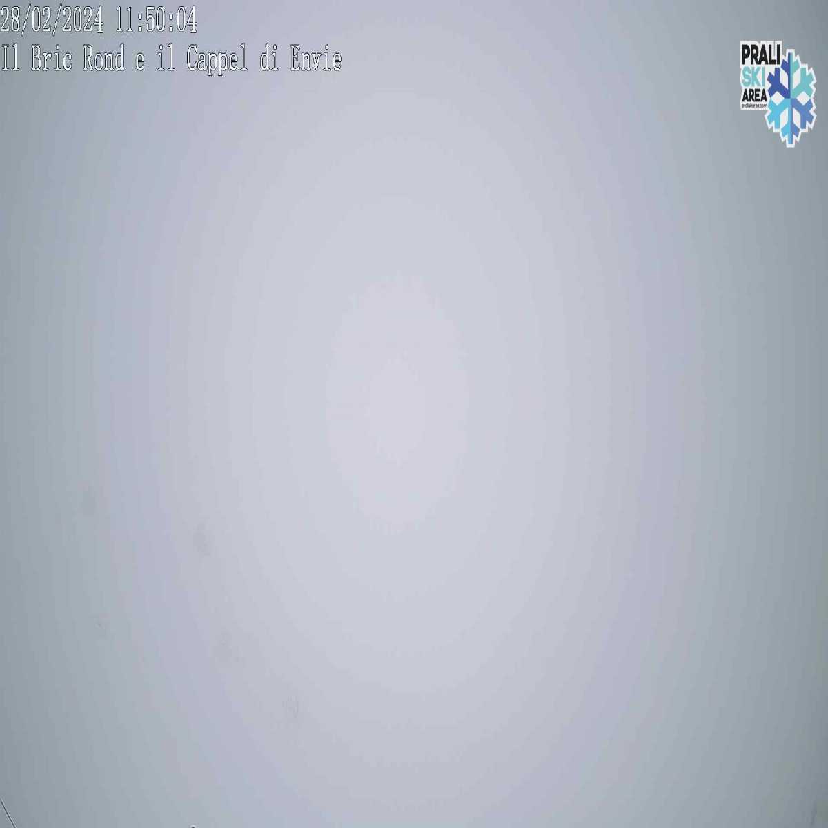 Chiappi webcam