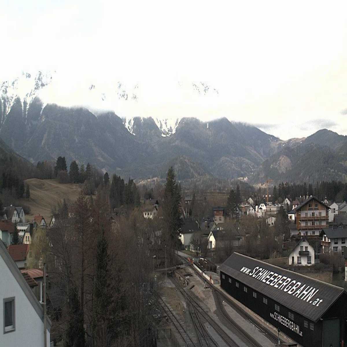 Ertl webcam