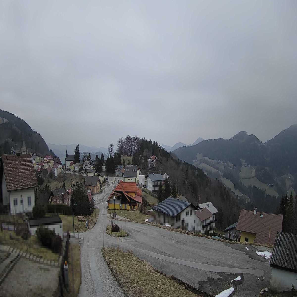 Ertl webcam