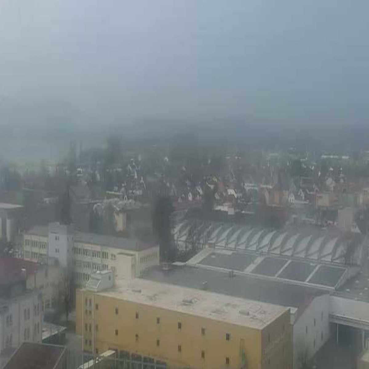 Schallstadt webcam