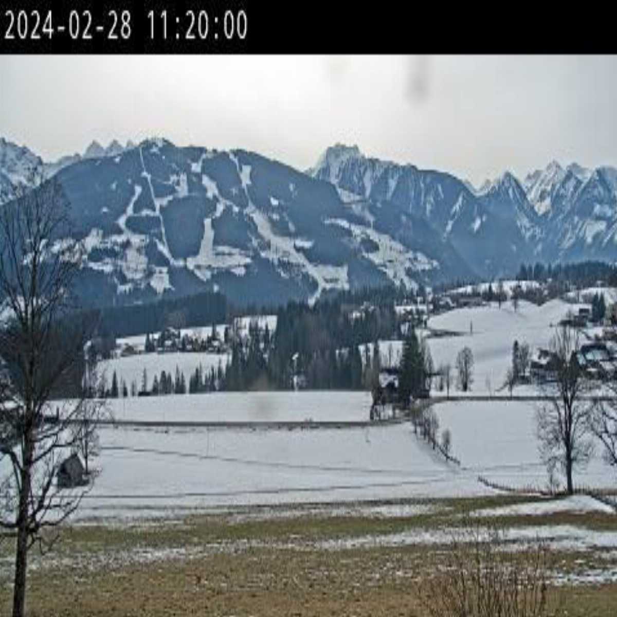 Leibnitz webcam
