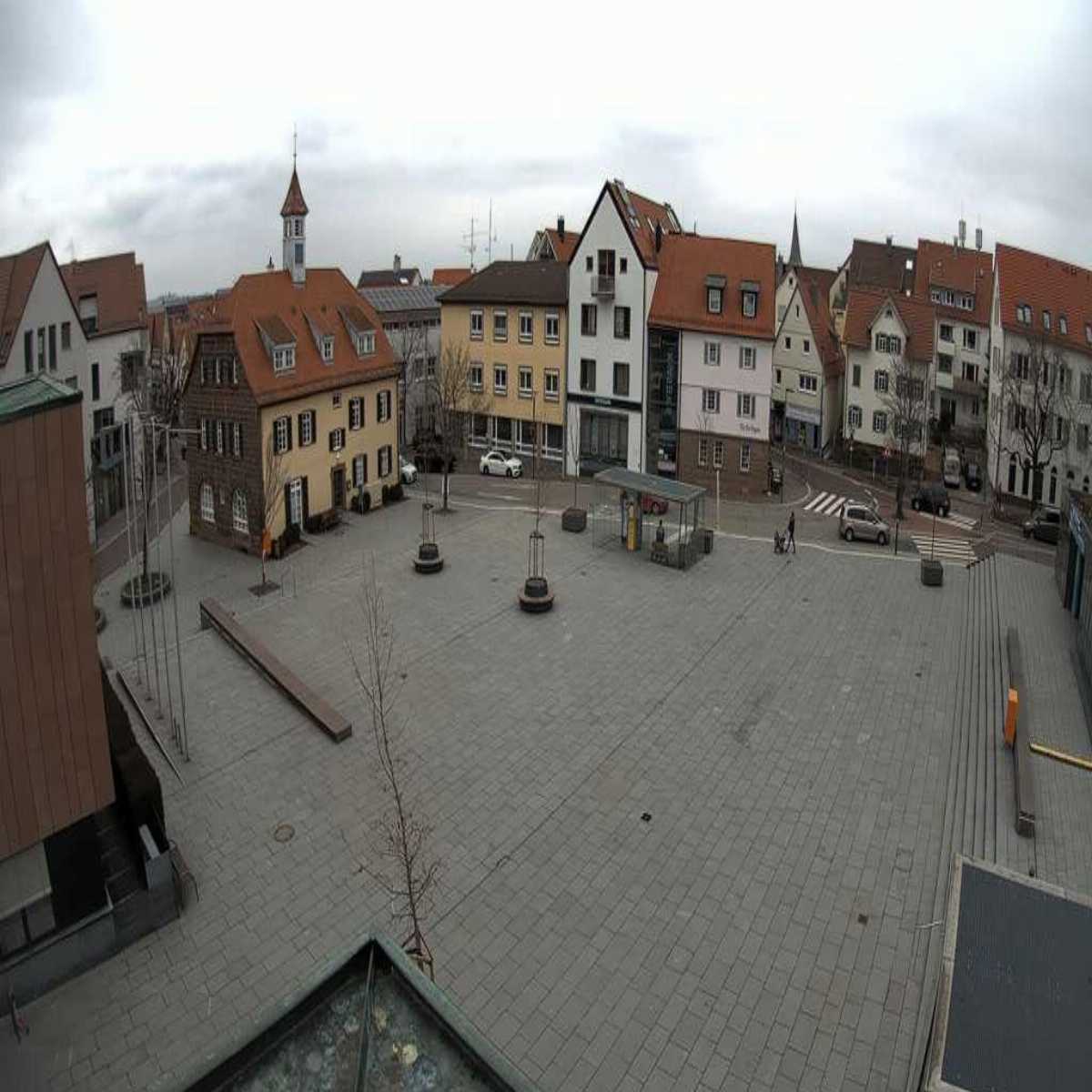 Schallstadt webcam