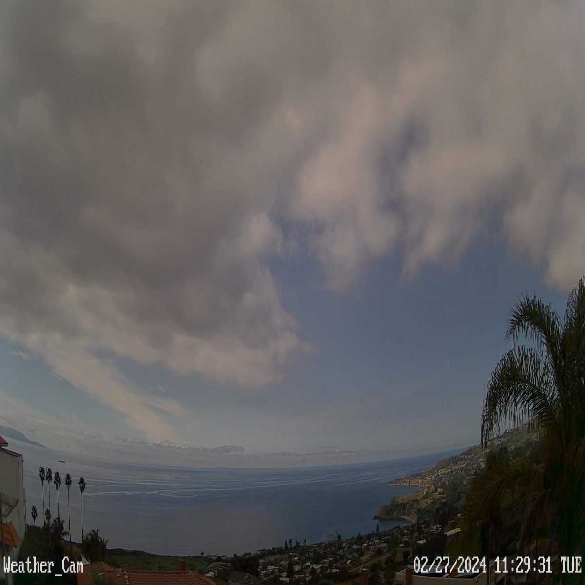 Walnut Creek webcam