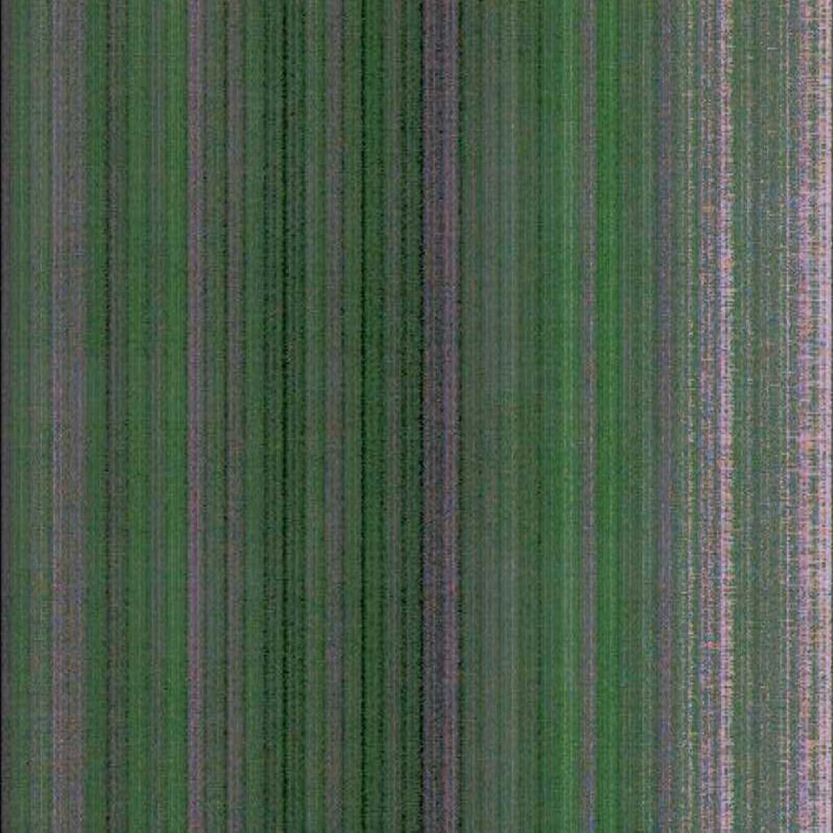 Anzere webcam