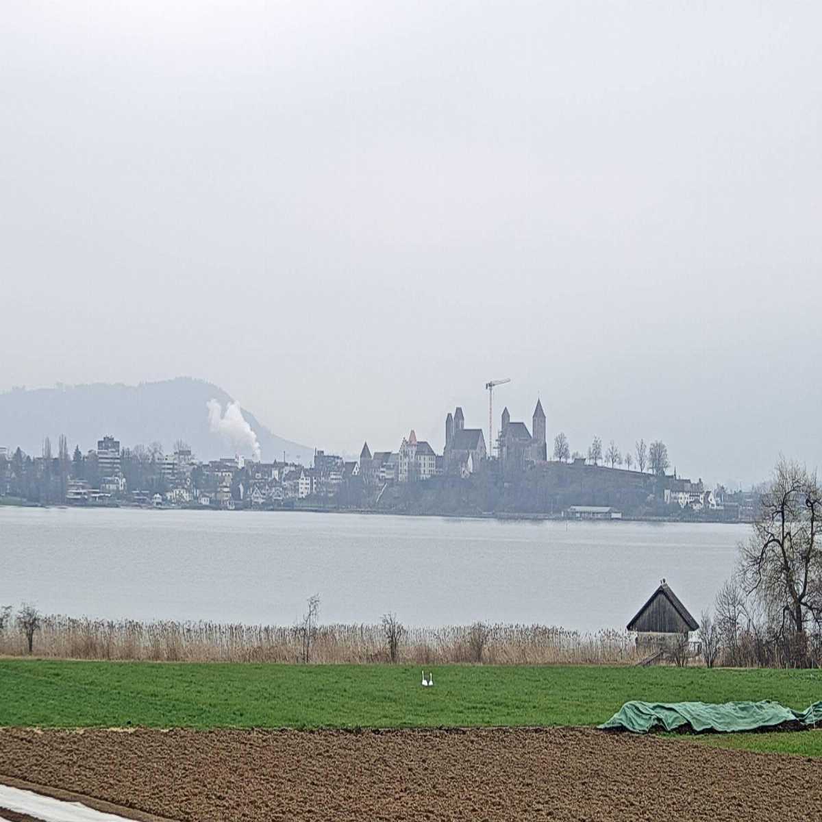 Wildhaus webcam