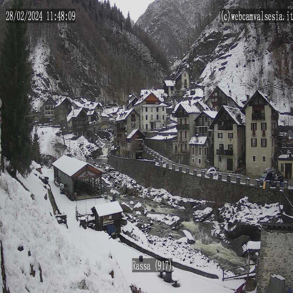 Chiappi webcam
