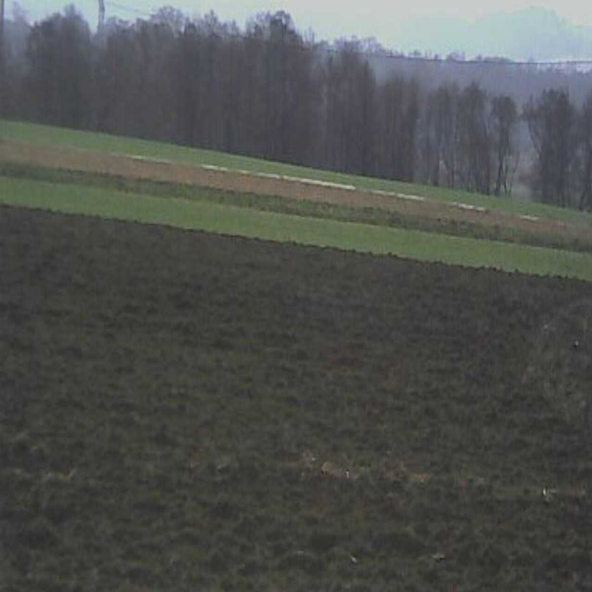 Leibnitz webcam