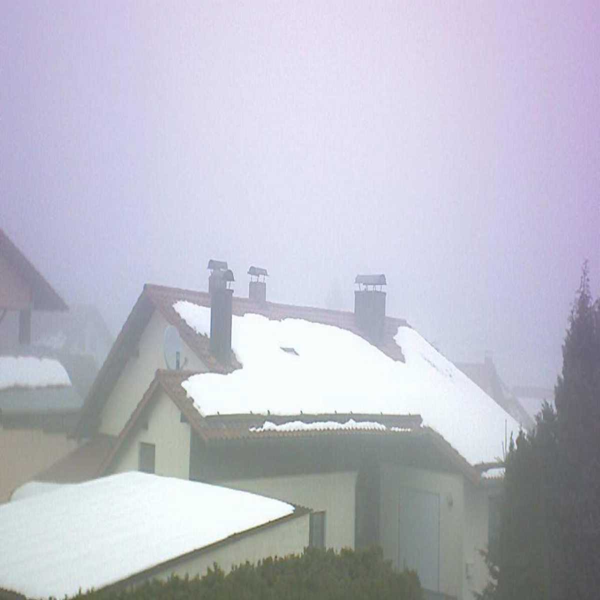 Zachenberg webcam