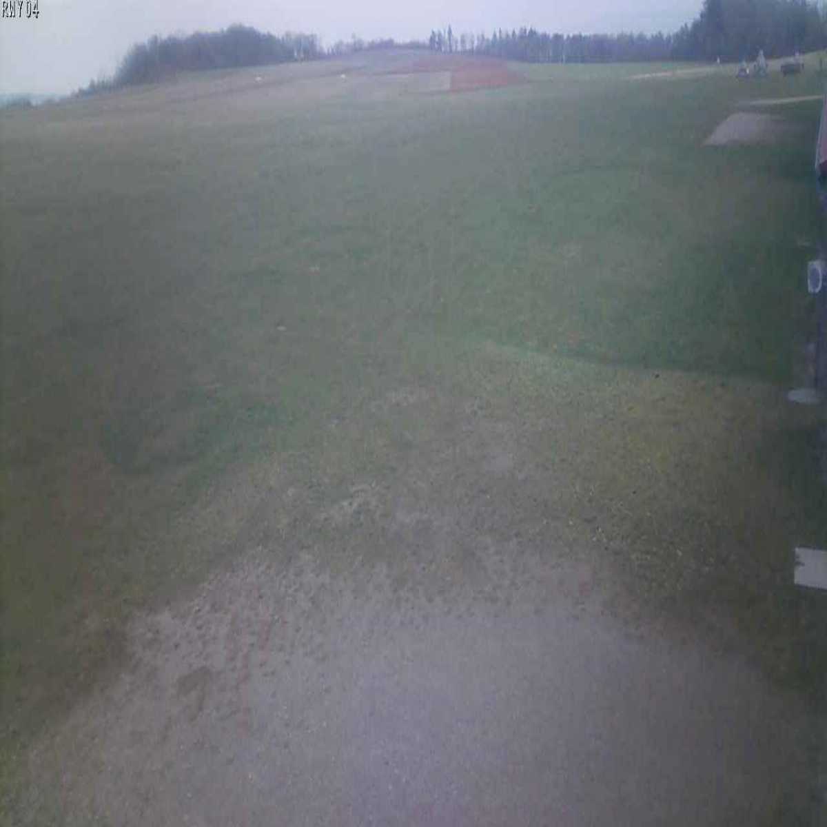 Schallstadt webcam