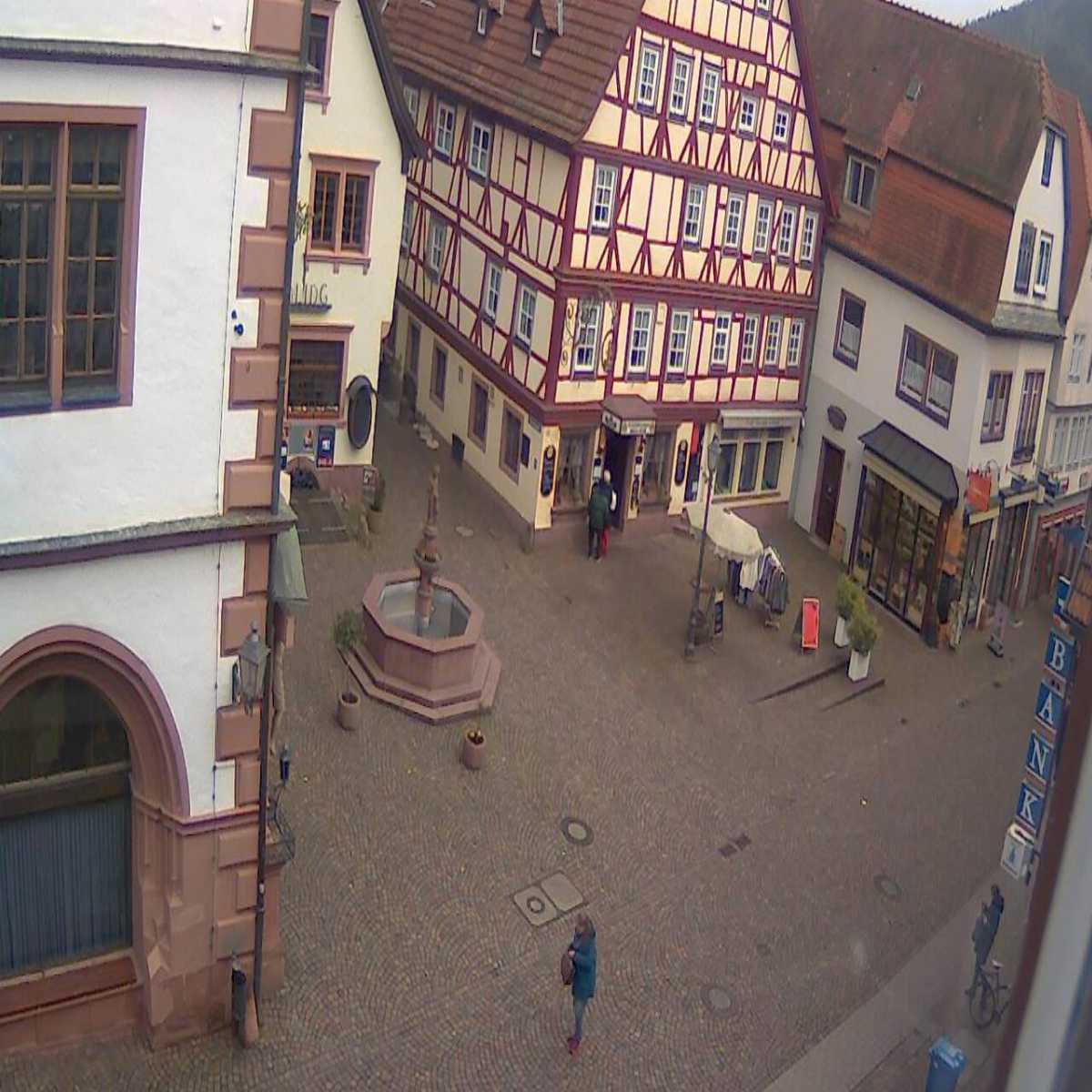 Zachenberg webcam