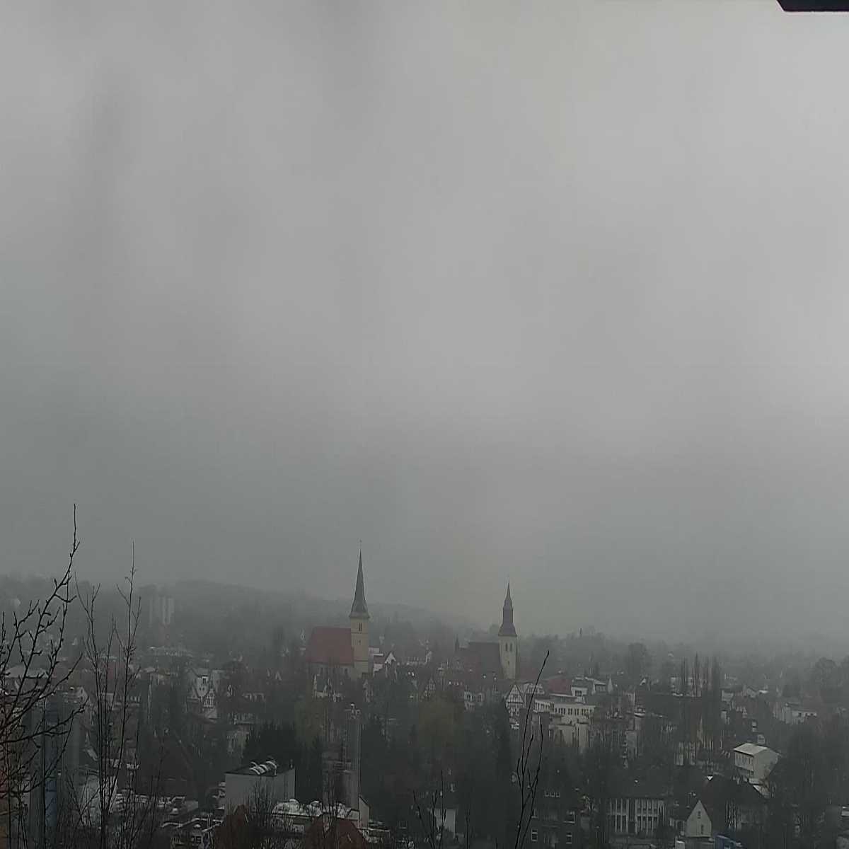 Reppenstedt webcam