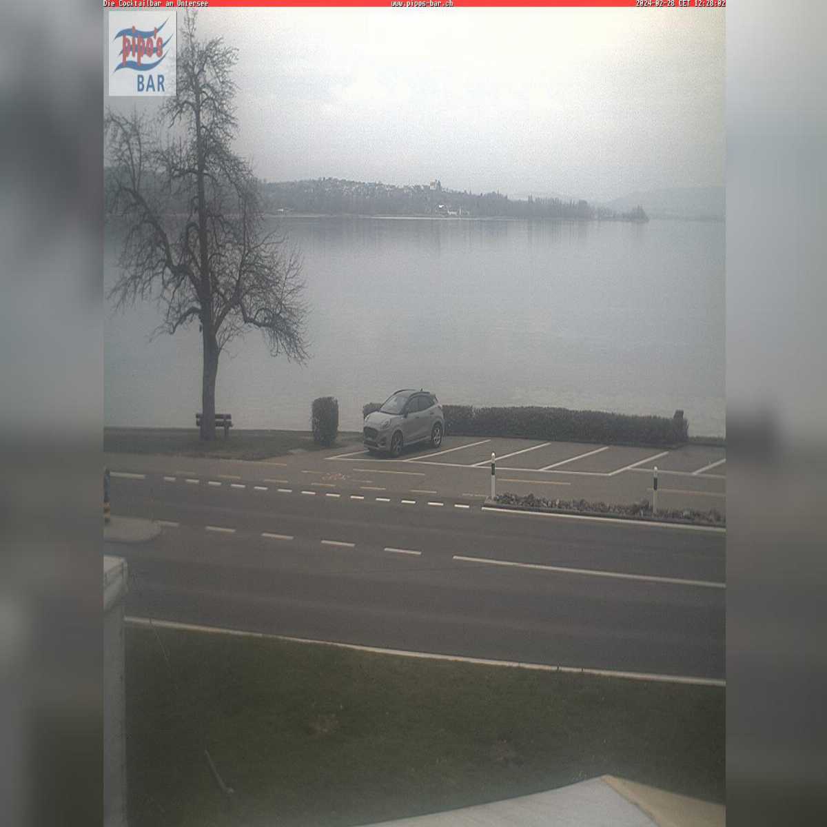 Schallstadt webcam