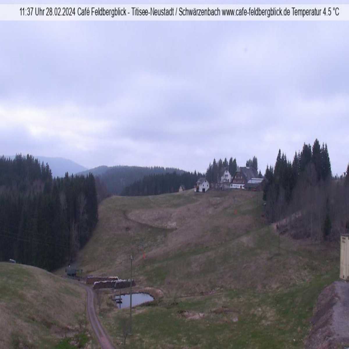 Schallstadt webcam