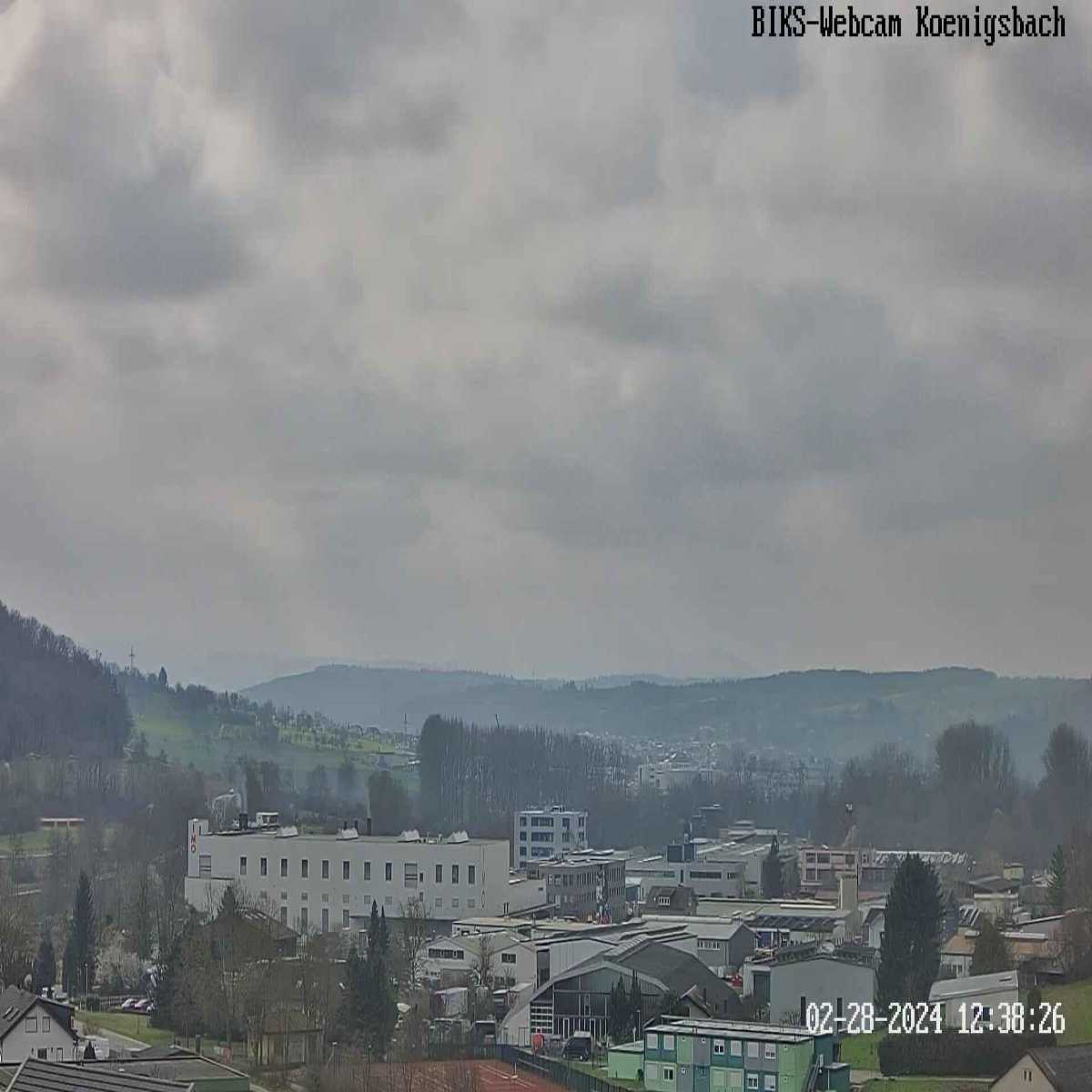 Schallstadt webcam