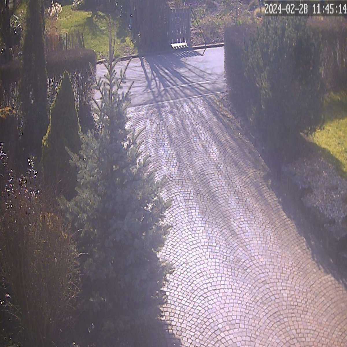 Zachenberg webcam
