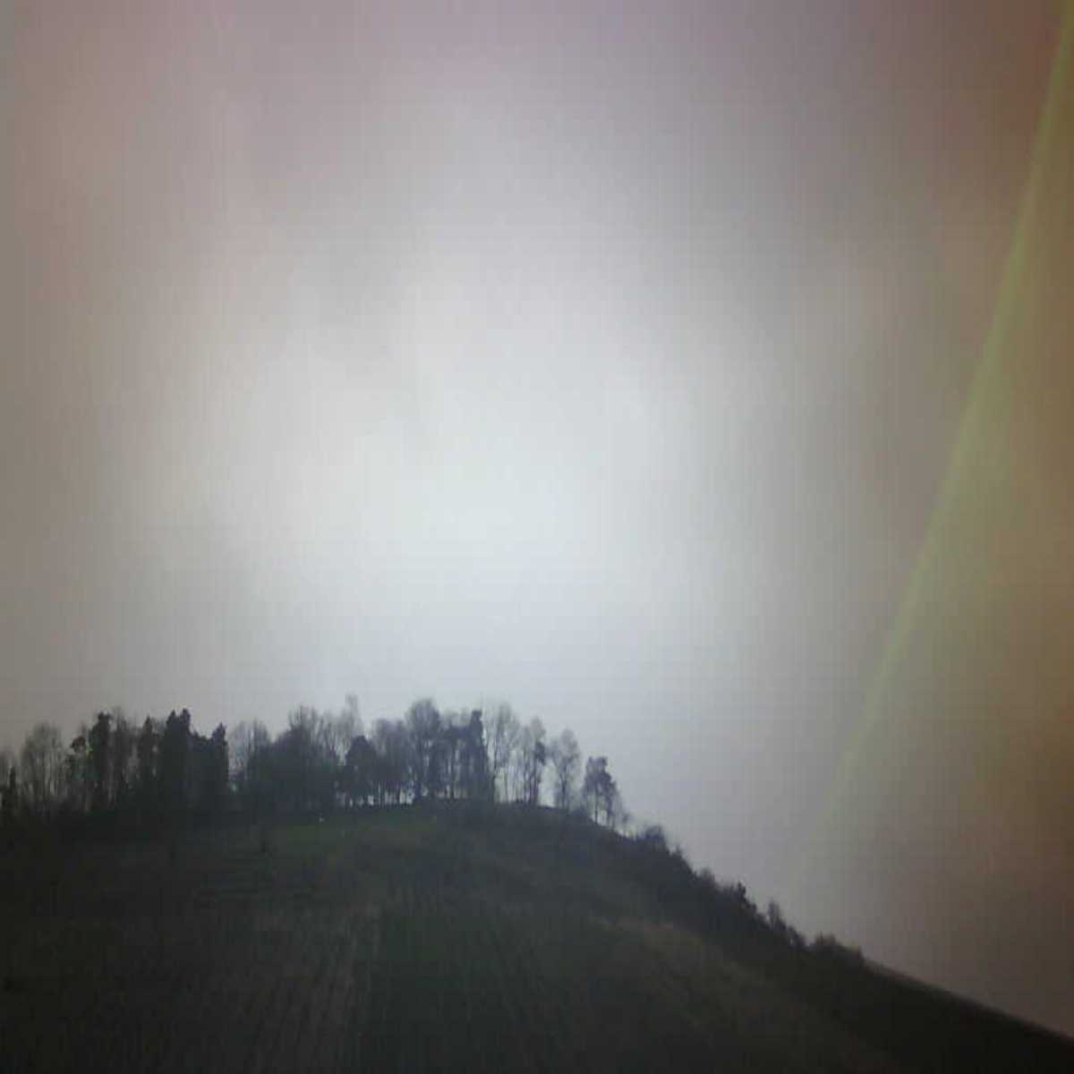 Schallstadt webcam