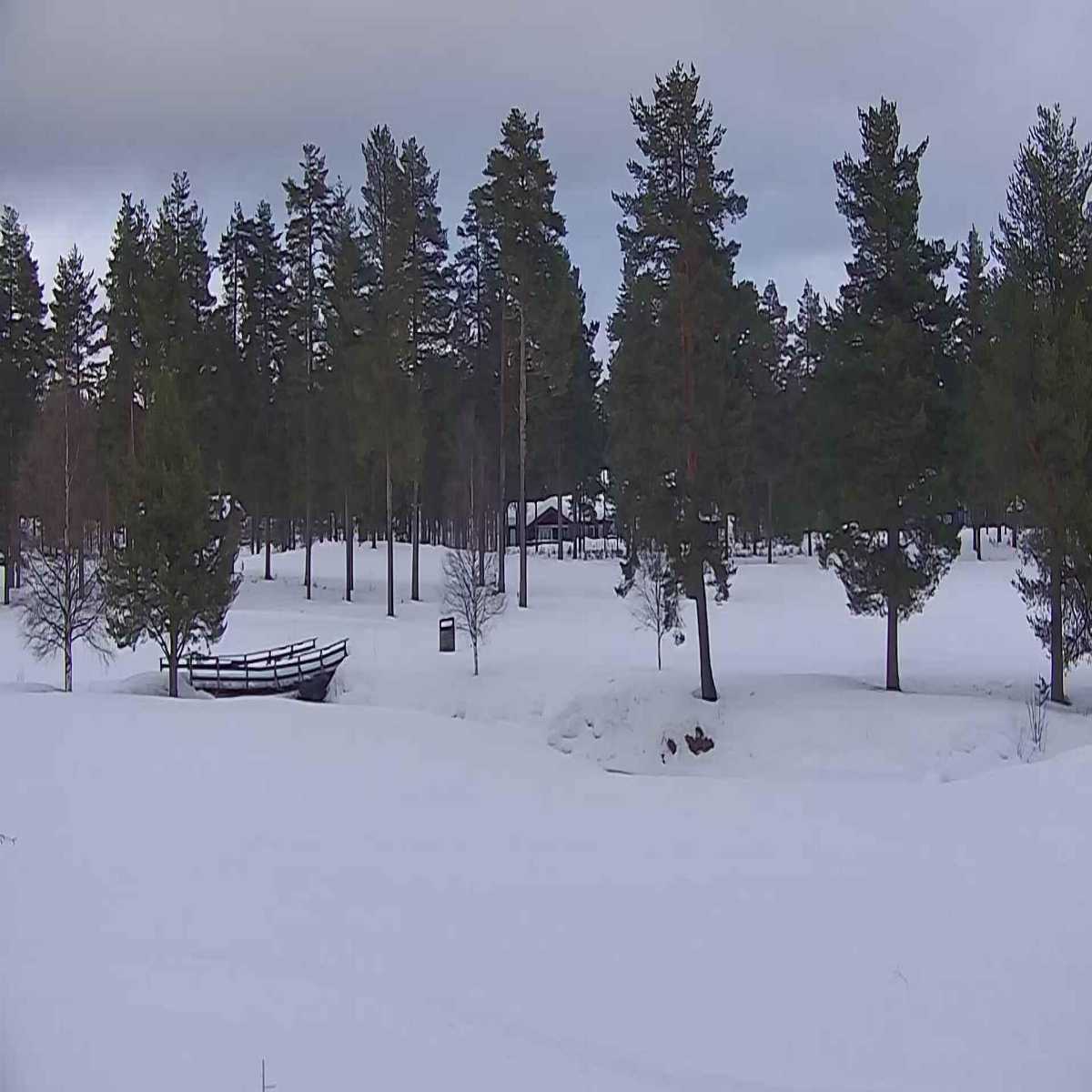 Lora webcam