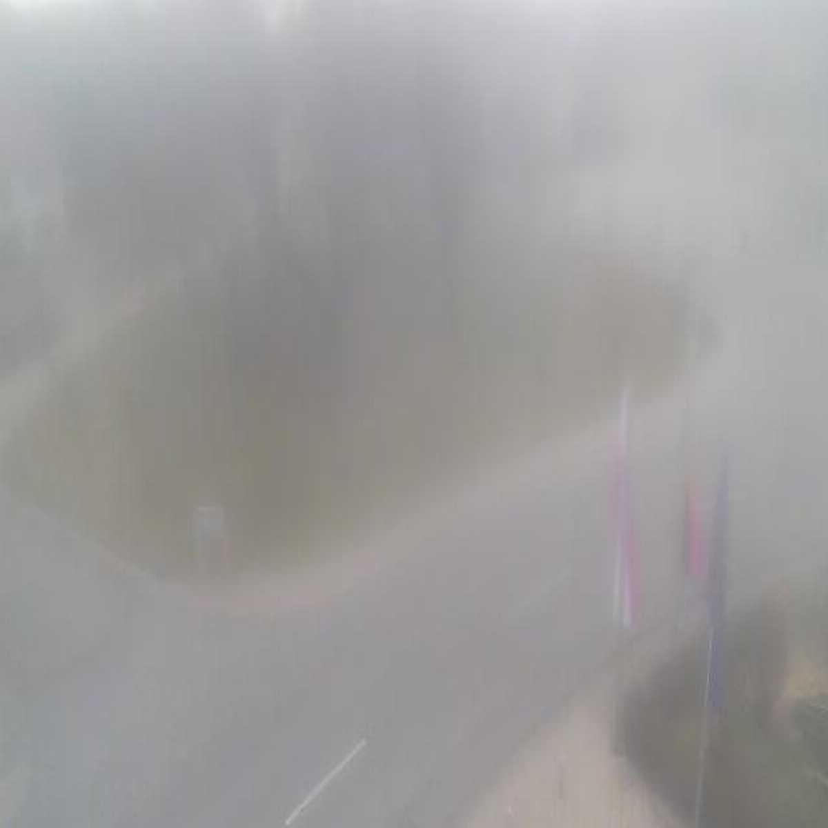 Schallstadt webcam