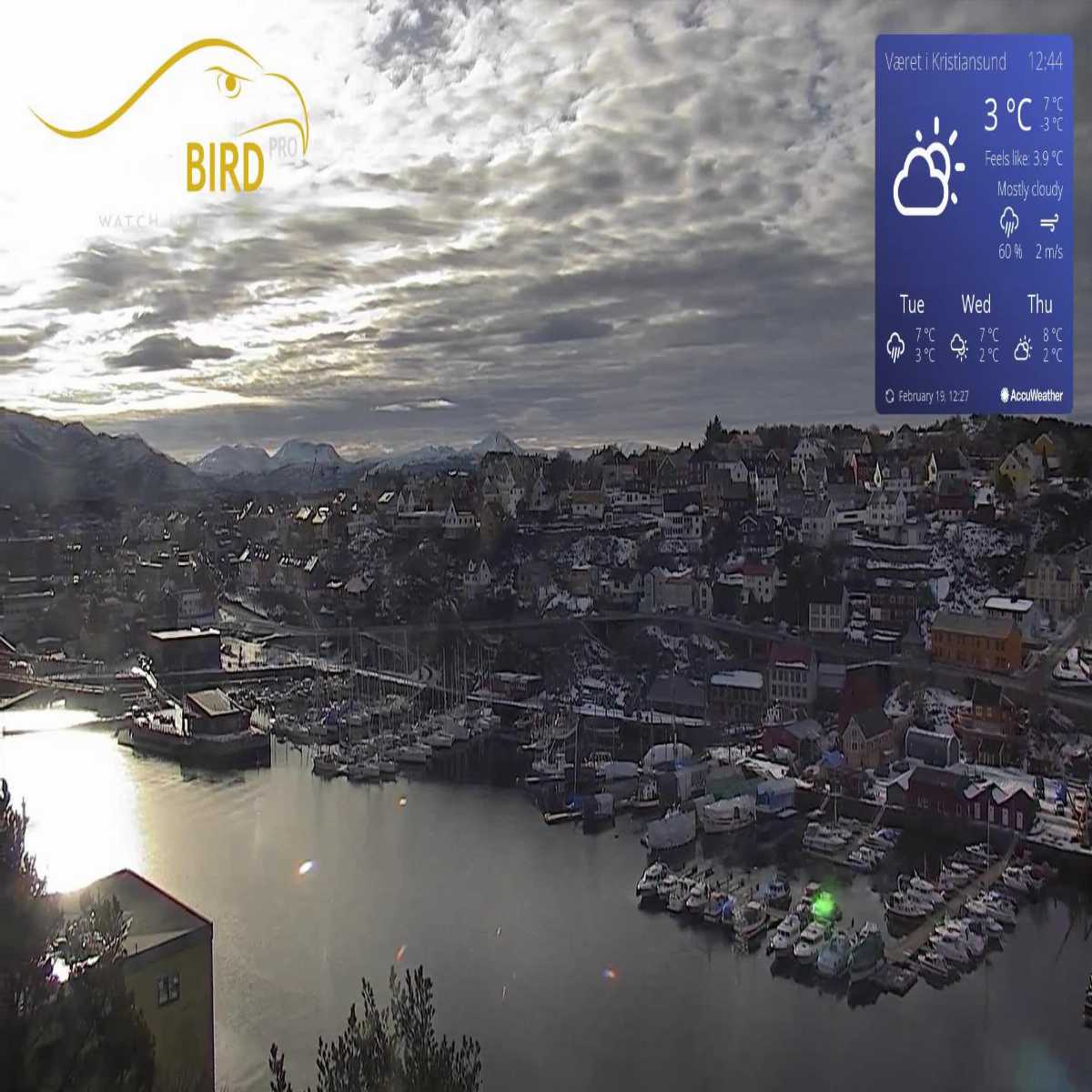 Eidsa webcam