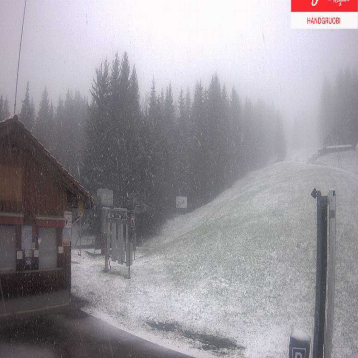 Alpthal webcam