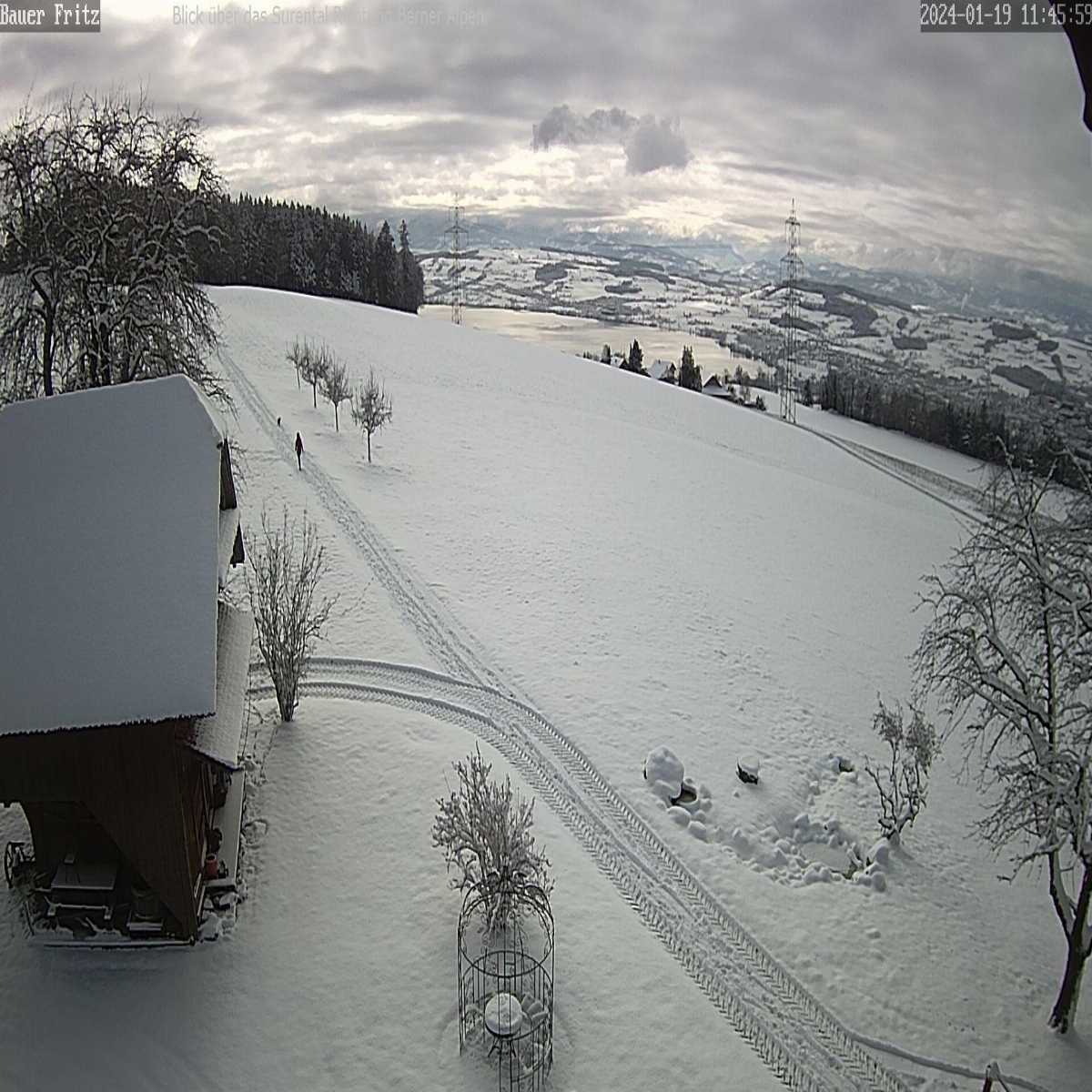 Schallstadt webcam