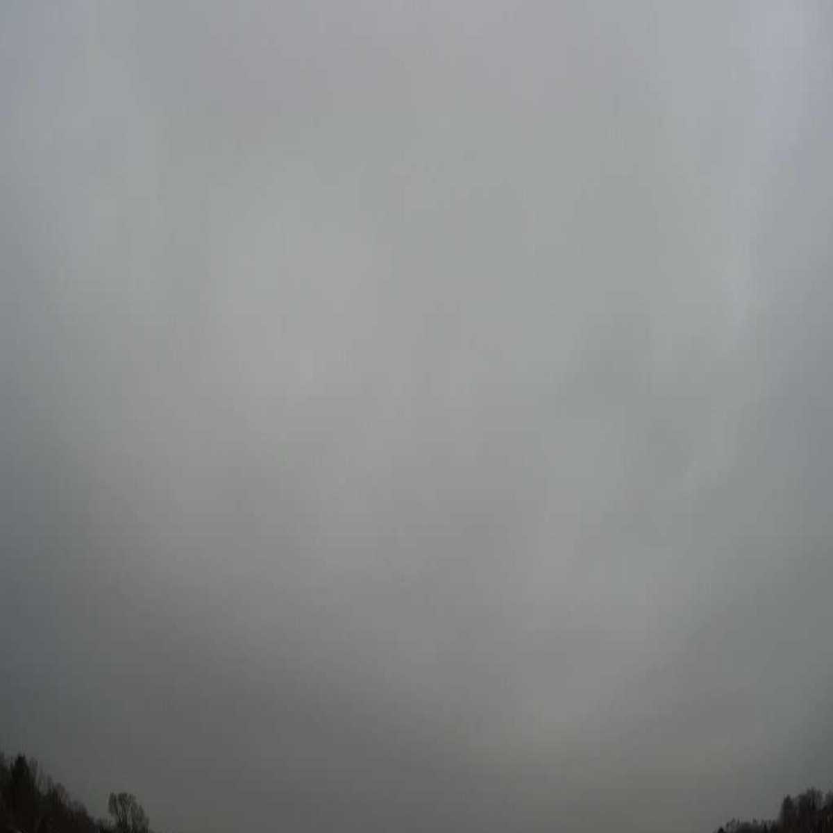 Reinbek webcam