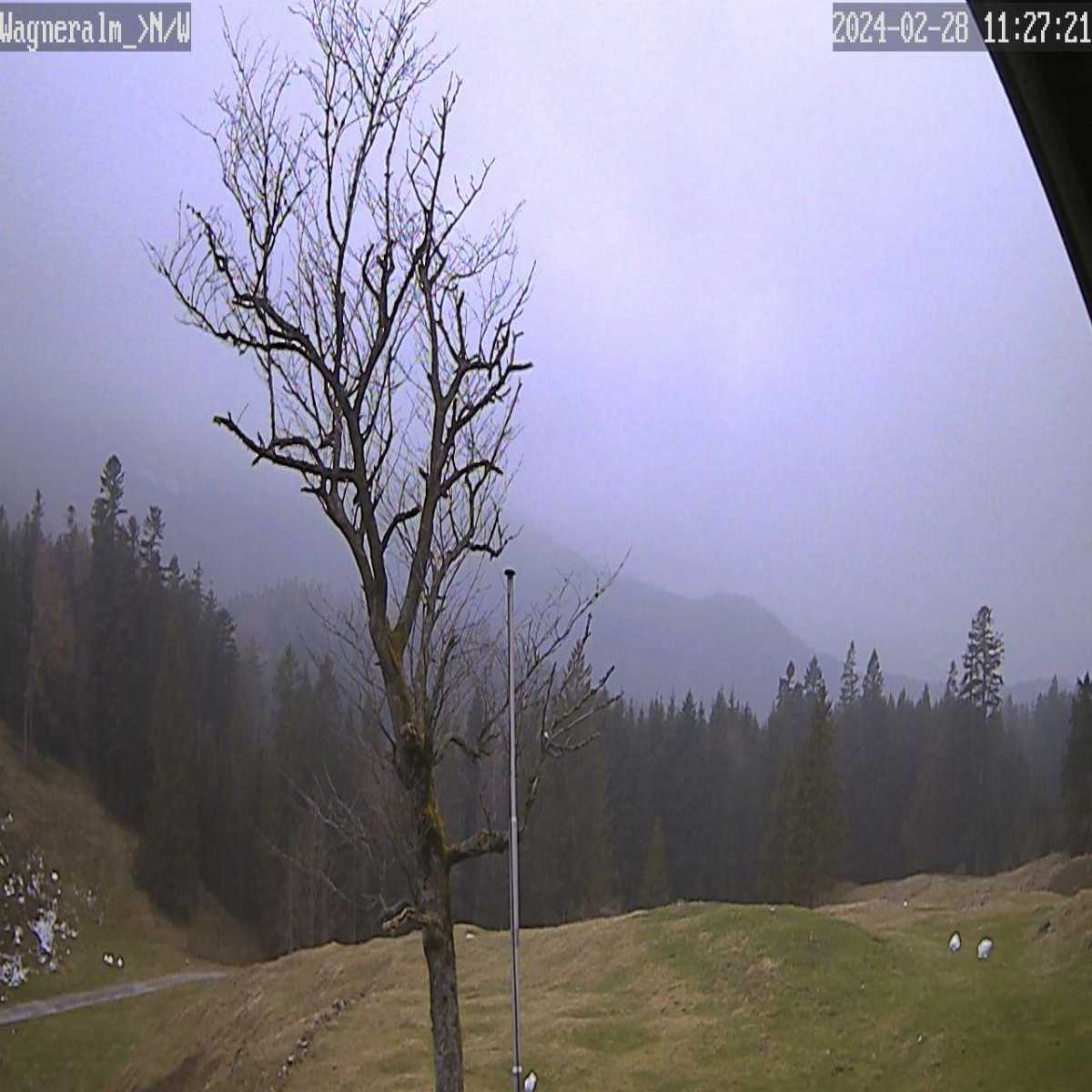 Zachenberg webcam