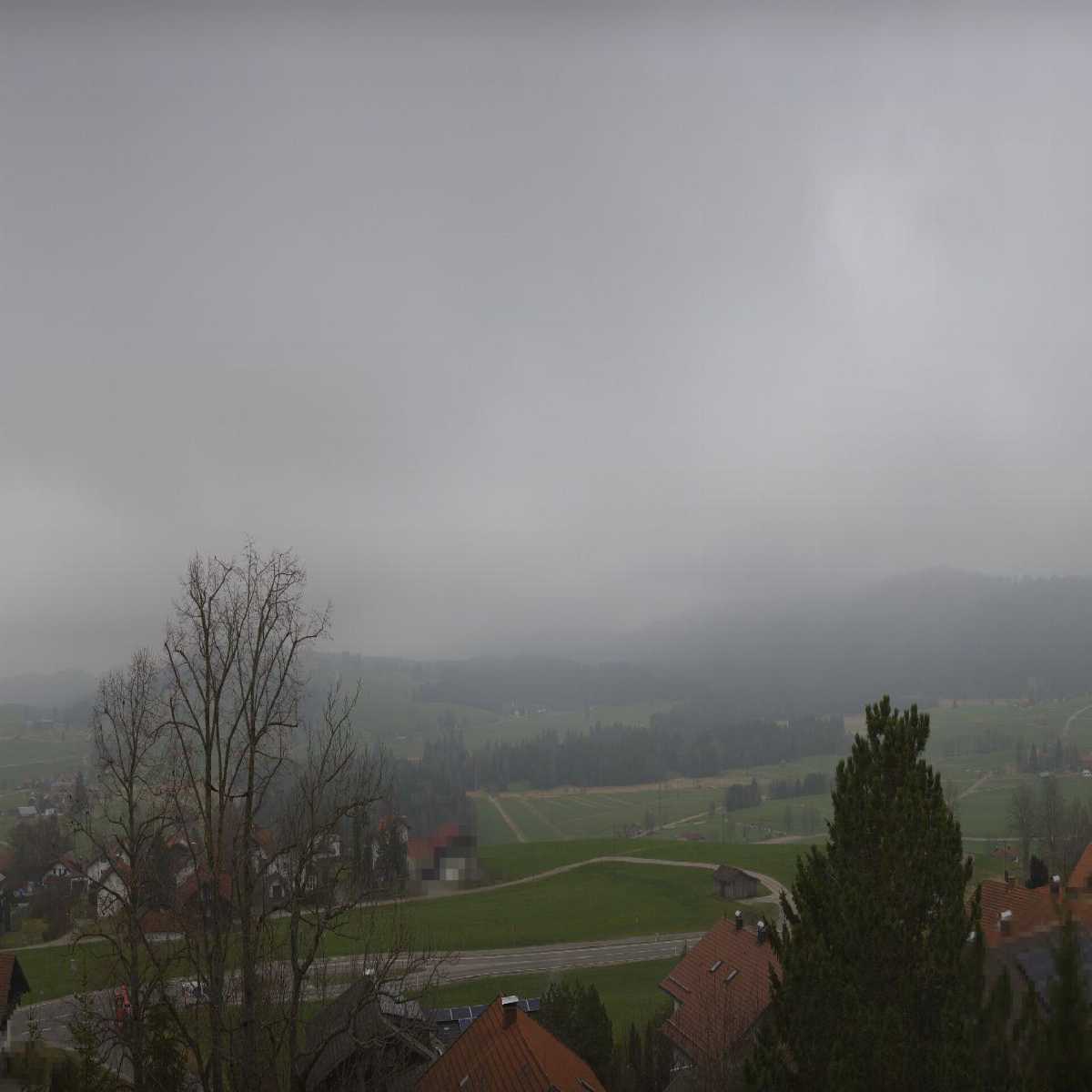 Zachenberg webcam