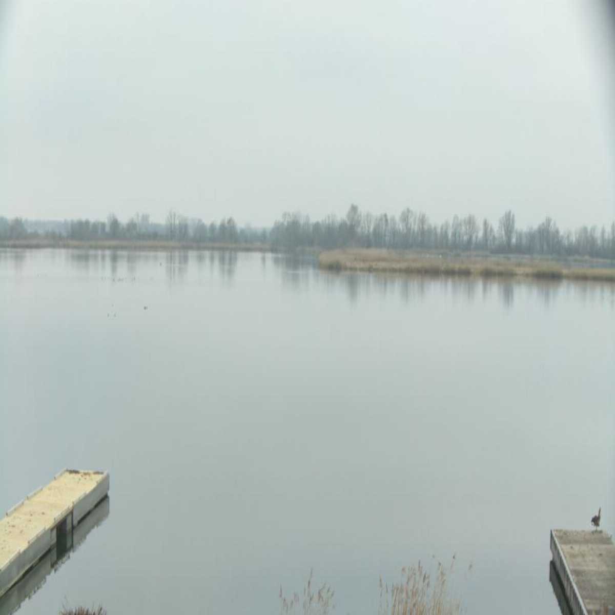 Zachenberg webcam