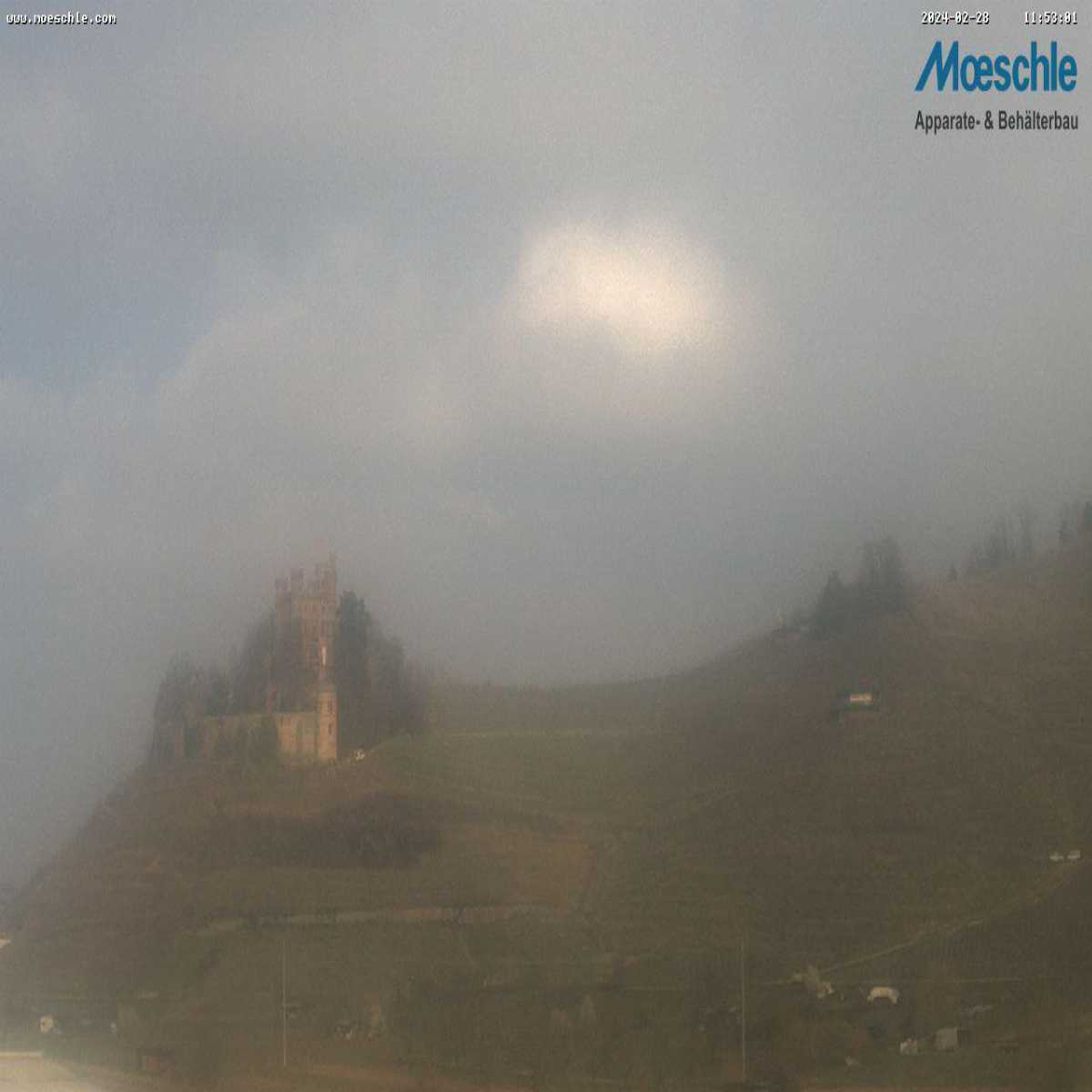 Schallstadt webcam
