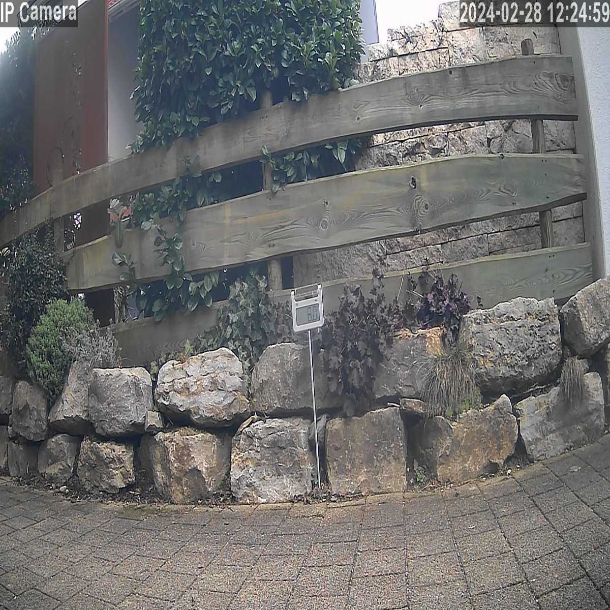 Schallstadt webcam