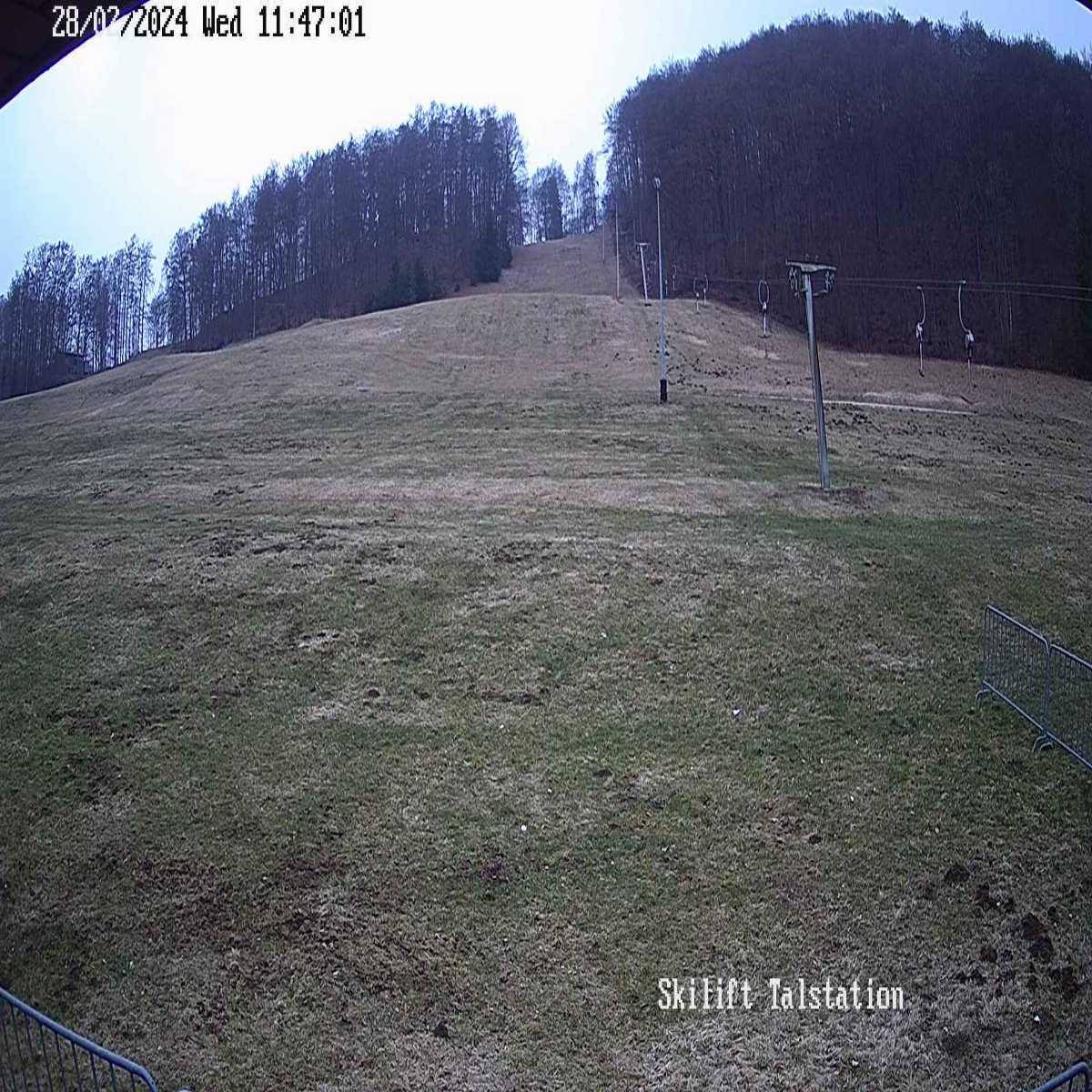Schallstadt webcam