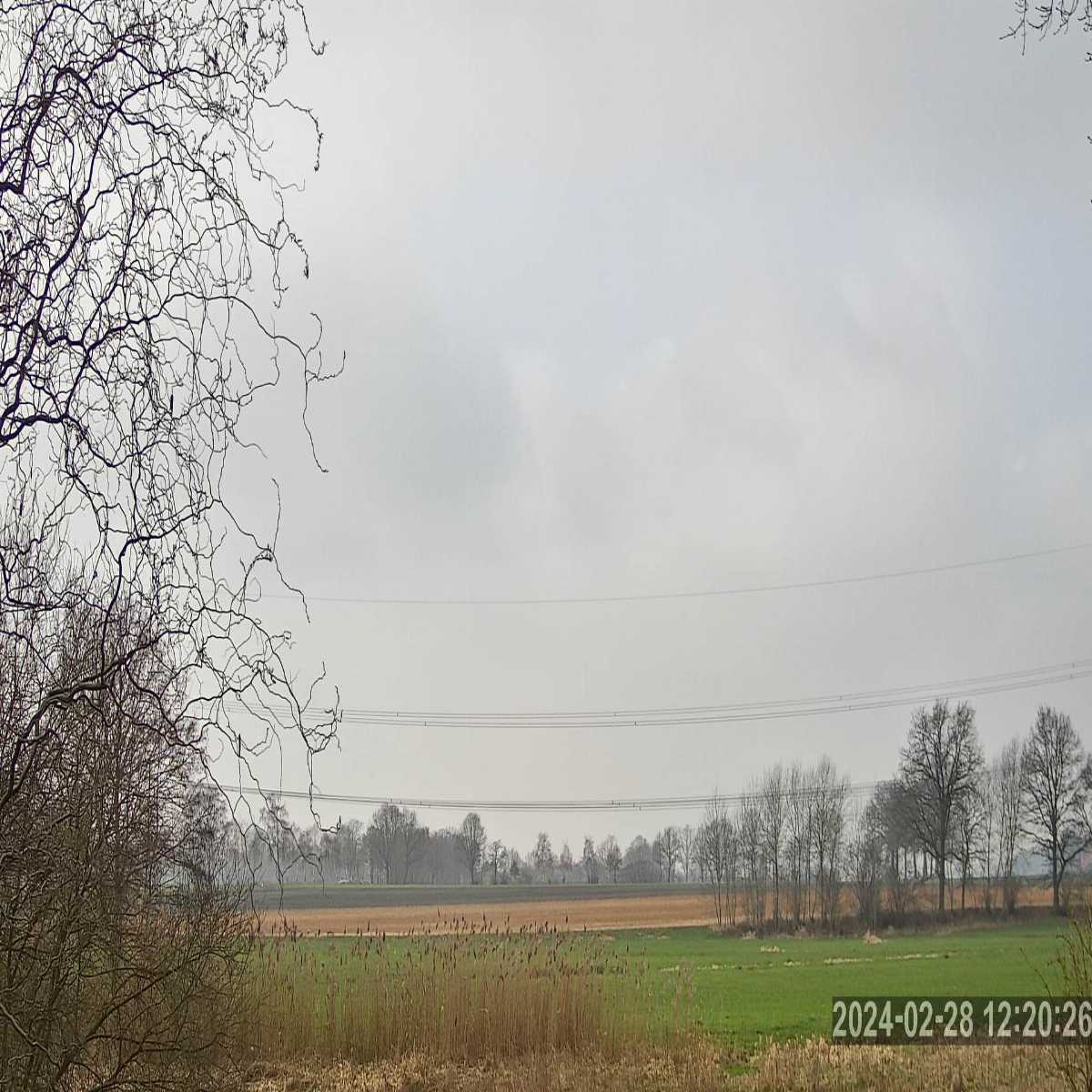 Reppenstedt webcam
