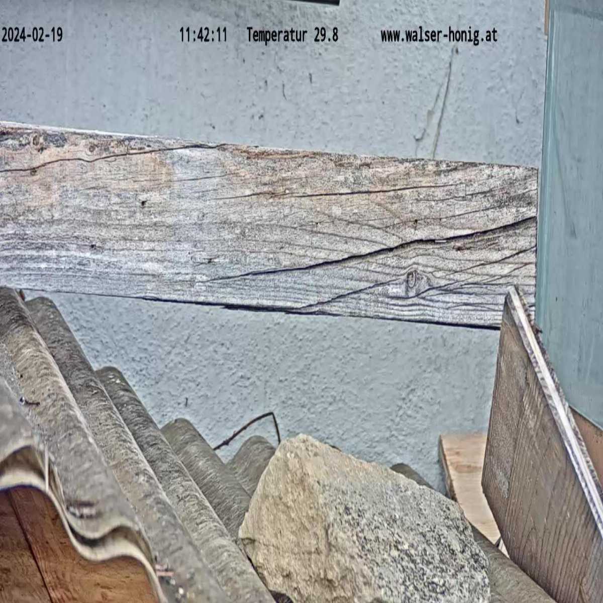 Warth webcam