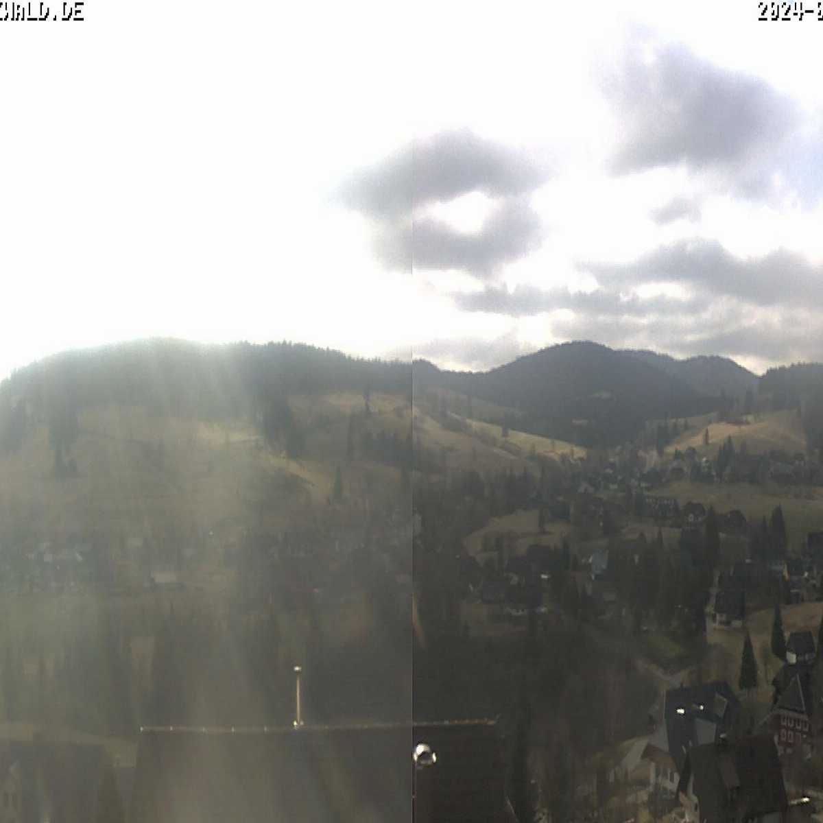 Schallstadt webcam