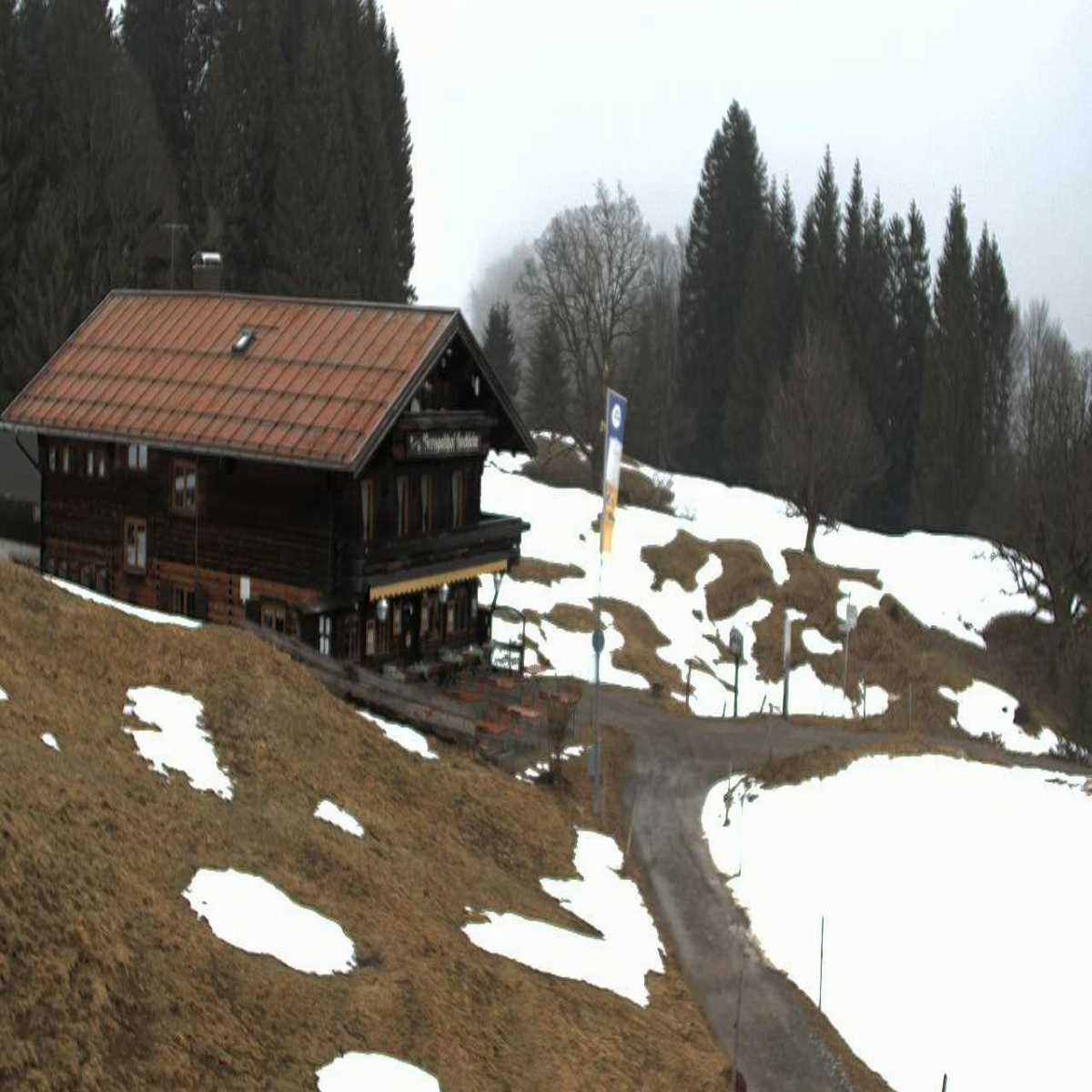 Zachenberg webcam