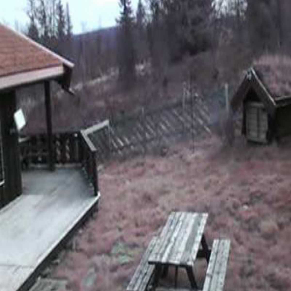 Lora webcam