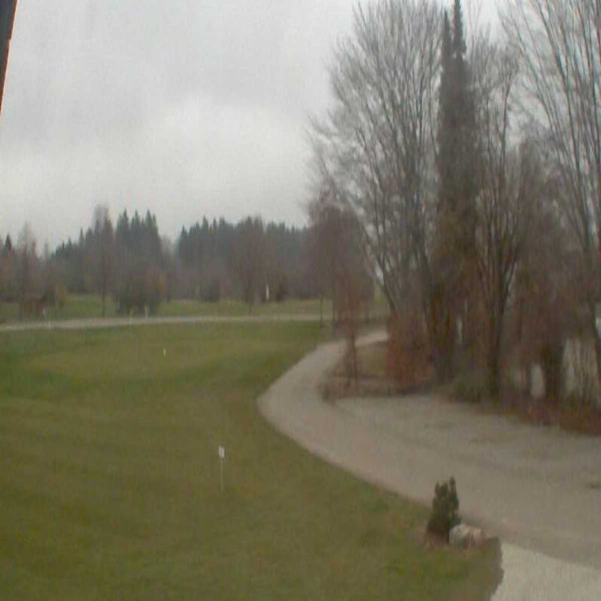 Schallstadt webcam