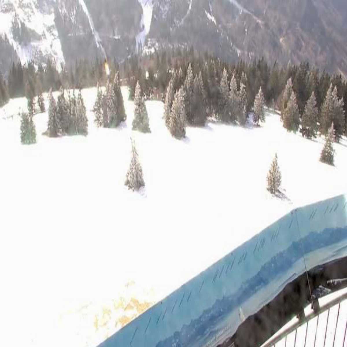 Schallstadt webcam