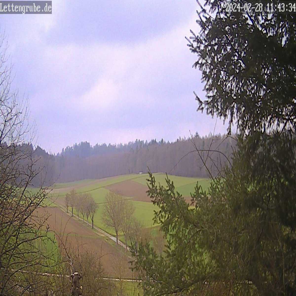Schallstadt webcam