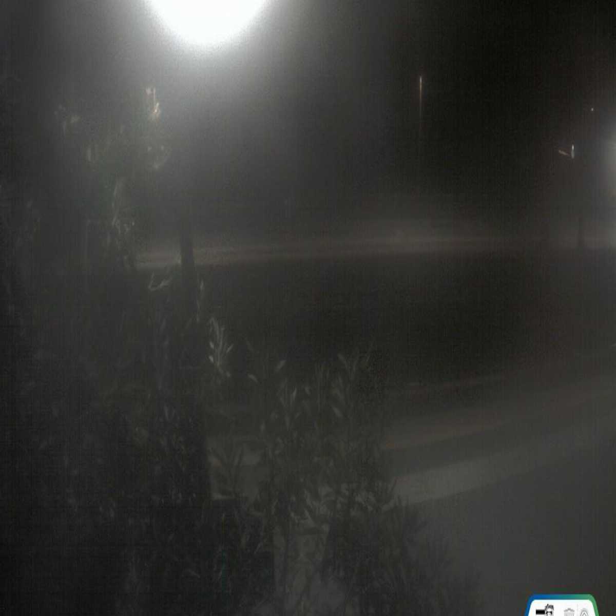 Imperia webcam