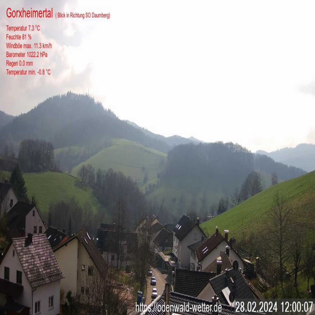 Schallstadt webcam